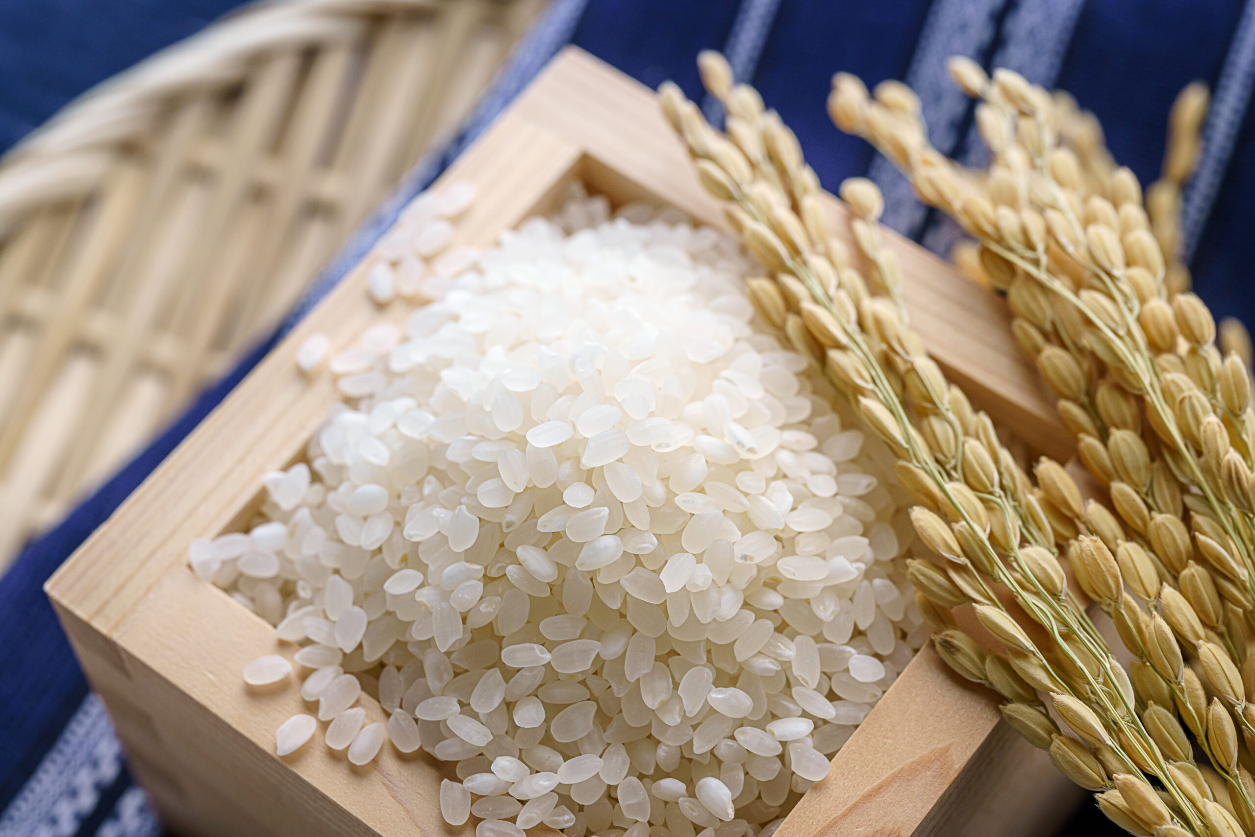 お米には賞味期限がない？美味しく食べられる期間と長期保存の仕方を解説！