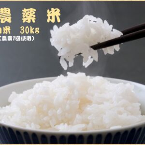 減農薬米　白米　30kg